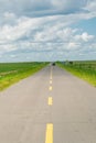 A road on grassland Royalty Free Stock Photo