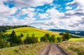 Road through grassy meadow on a forested hill