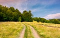 Road through grassy meadow in to the beech forest Royalty Free Stock Photo