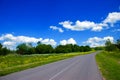 Road, green field with flowers and blue sky