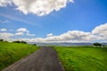 Road and green field