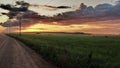 Road, green field and clouds at sunset Royalty Free Stock Photo