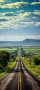 A road through a green field. Vertical panorama