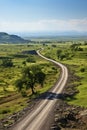 A road through a green field. Vertical panorama