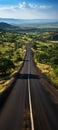 A road through a green field. Vertical panorama