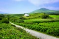 Road through green fields of County Kerry with small farm house, Ireland Royalty Free Stock Photo