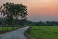 Road through the green fields Royalty Free Stock Photo