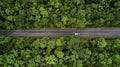 Road through the green forest, aerial view road going through forest Royalty Free Stock Photo