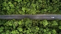 Road through the green forest, aerial view road going through forest Royalty Free Stock Photo