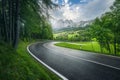 Road in green forest in rainy summer day. Mountain roadway Royalty Free Stock Photo