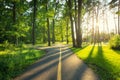 Road in green forest at sunset in summer. Bucha, Ukraine