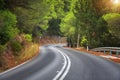 Road in green forest at sunset in summer. Empty mountain road