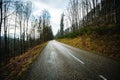 Road Through Green Forest, Trees, Pines. Landscape with empty asphalt road through the woods . Travel Royalty Free Stock Photo