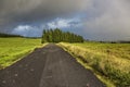 Road through green hills landscape on Sao Miguel island, Portugal