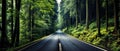 Road in the green lush forest. 21 to 9 aspect ratio Royalty Free Stock Photo