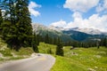 Road and green meadows