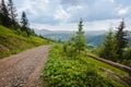 Road in green summer Carpathian mountains Royalty Free Stock Photo