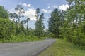 The road into the green tropical forest daytime Royalty Free Stock Photo