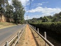 Road with guard rails in Spring valley in Nairobi Kenya