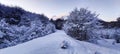 Road heading to the snowy mountain