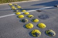 Traffic element retarder yellow round points in two rows on a road asphalt lawn