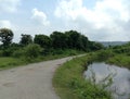 Road hill trees skay water