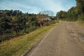 Road on hill with woods in Bento Goncalves