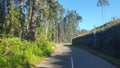 Botany Bay Plantation Spooky Dirt Road Creepy Marsh Oak Trees Tunnel with spanish moss Edisto Island, SC Royalty Free Stock Photo