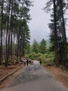 Road in the Himalayas