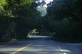 Road home in Orinda, California