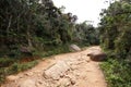 Road in Horton Plains National Park, Sri Lanka.