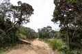 Road in Horton Plains National Park, Sri Lanka.