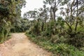 Road in Horton Plains National Park, Sri Lanka.