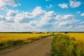 Road into idyllic country