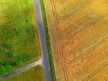 Road intersection with wheat fields, meadow and trees, aerial view Royalty Free Stock Photo