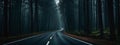 A Road Cutting Through a Dark Forest Royalty Free Stock Photo