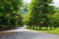 Road in Jedkod Pongkonsao Natural Study and Ecotourism Center, S Royalty Free Stock Photo