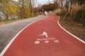 Road for jogging at shanghai autumn city park