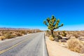 Road in Joshua Tree National Park