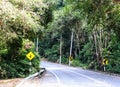 Road Through the jungle  Pangkor island Royalty Free Stock Photo