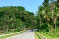 Road in the jungle in the Philippines