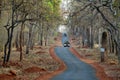 Road from jungle, Tadoba National Park, Chandrapur, Maharashtra, India