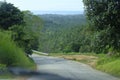 Road through jungle, view behind windshield of car. Palm trees and sea in background Royalty Free Stock Photo