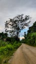 A road in Kaironi, Manokwari that connects several villages with the local port