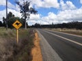 Road with kangaroo sign in Australia