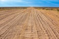 Road in the Kyzylkum Desert in Kazakhstan. Royalty Free Stock Photo