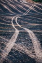 The road is laid over a wheat field burnt by fire Royalty Free Stock Photo