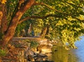 Road by the lake Orestiada, Kastoria Greece. Sunrise golden light, beautiful foliage of maple trees. Man with dog walking by the