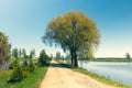 Road by the lake on a sunny spring day Royalty Free Stock Photo
