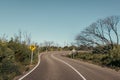 A road landscape reborn after Australia's bushfires Royalty Free Stock Photo